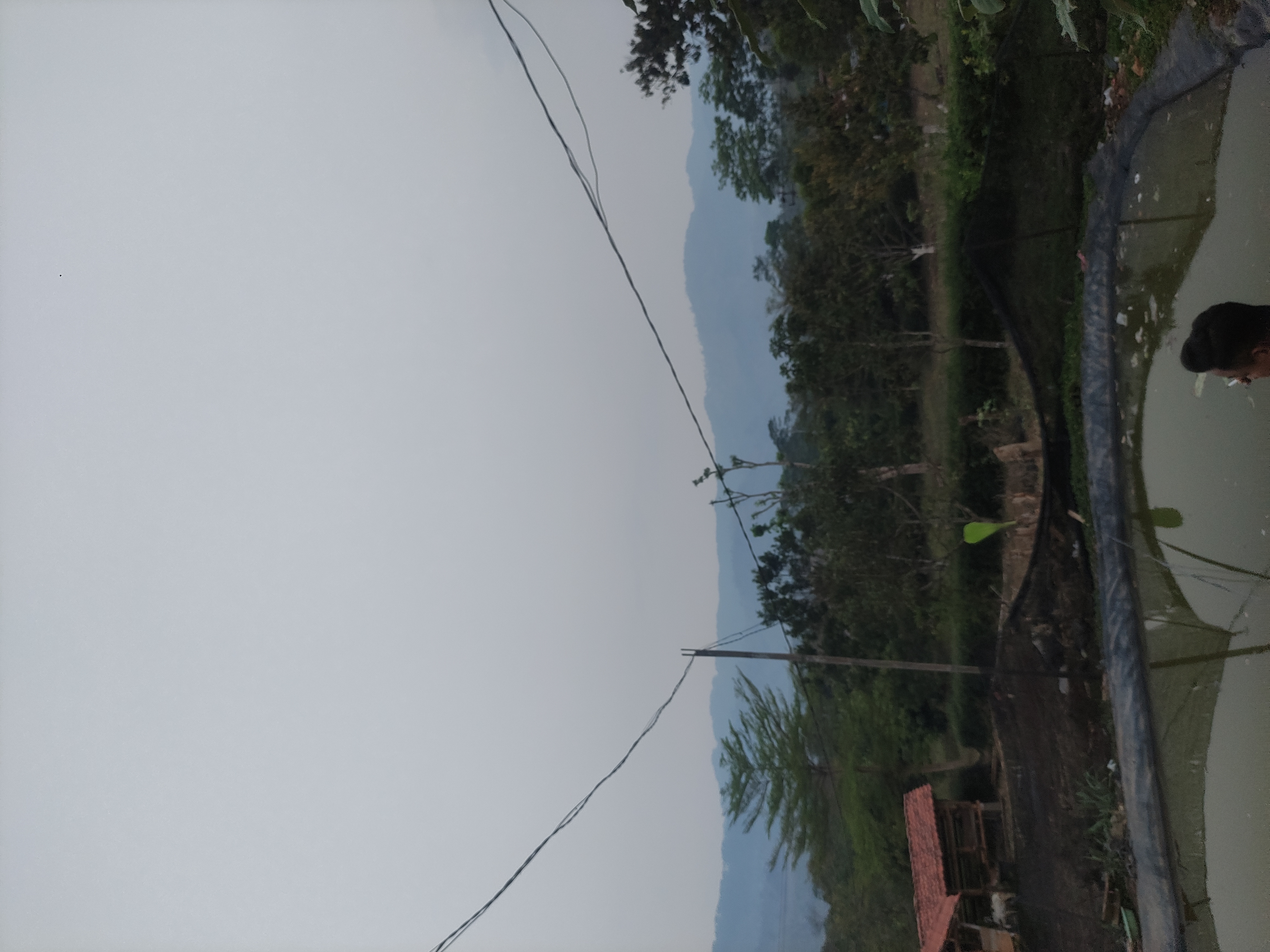 Uploaded Image